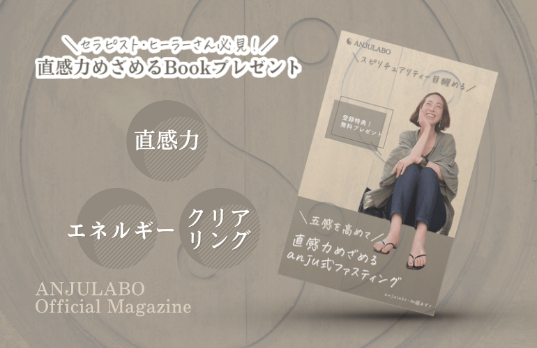 直感力めざめるanju式ファスティングBook